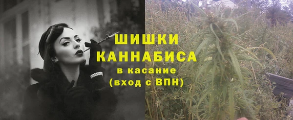 Альфа ПВП Осинники